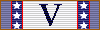 ANV Five Years Service Ribbon